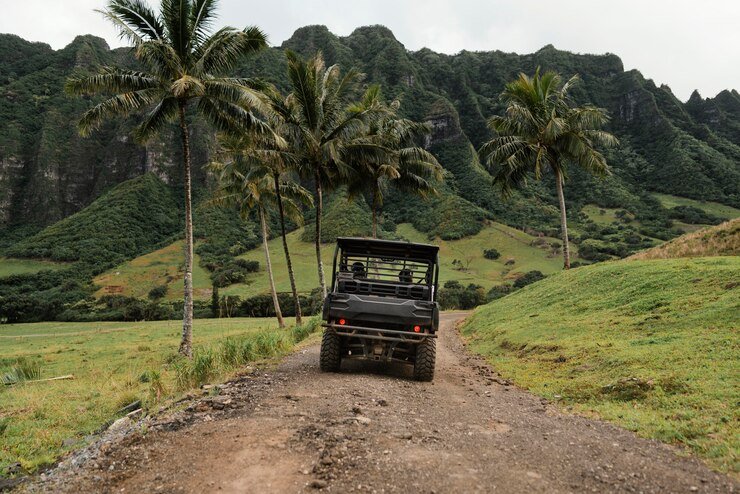 Items on the Back of Some Jeeps: Exploring the Essentials